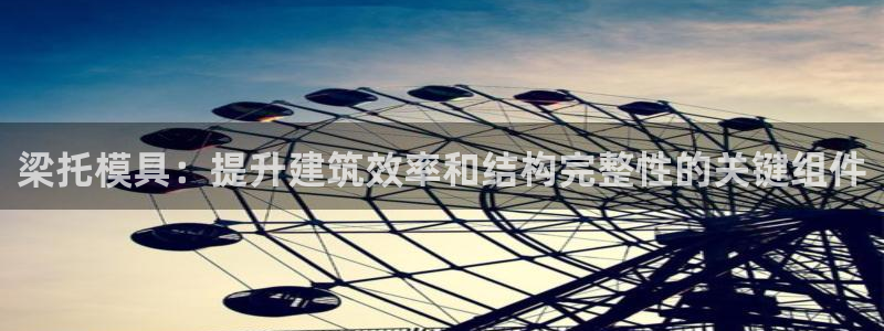 太阳app免费下载官方网站：梁托模具：提升建筑效率和结构完整性的关键组件