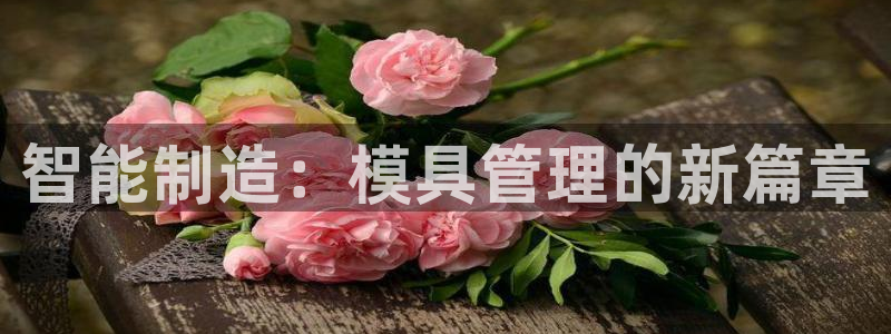 高淳红太阳集团：智能制造：模具管理的新篇章