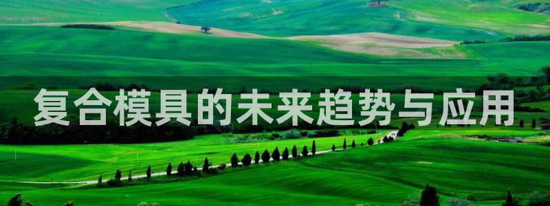 太阳集团是什么公司：复合模具的未来趋势与应用