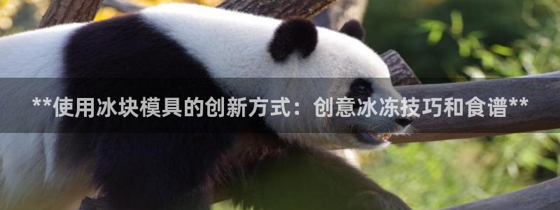 太阳2注册官网下载：**使用冰块模具的创新方式：创意冰冻技巧和食谱**