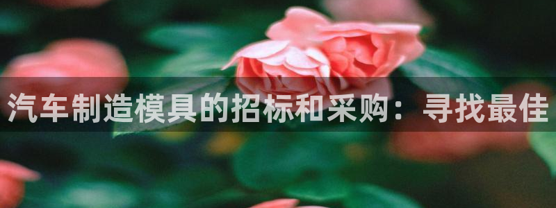 太阳成集团控股：汽车制造模具的招标和采购：寻找最佳