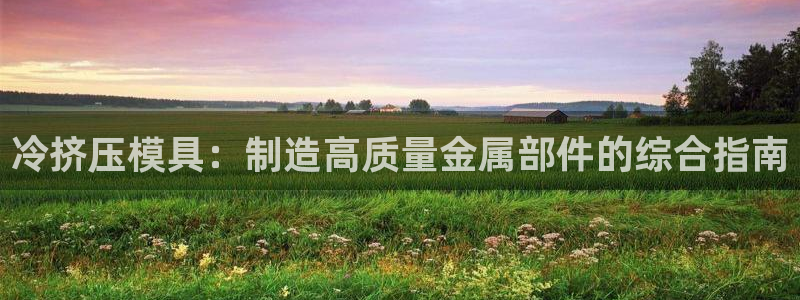 太阳成集团网站6888：冷挤压模具：制造高质量金属部件的综合指南