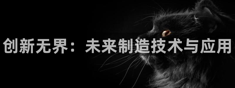 太阳诚集团有限公司是国企吗：创新无界：未来制造技术与应用