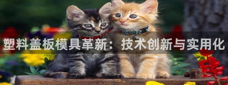 太阳集团城注册就送38welcome：塑料盖板模具革新：技术创新与实用化