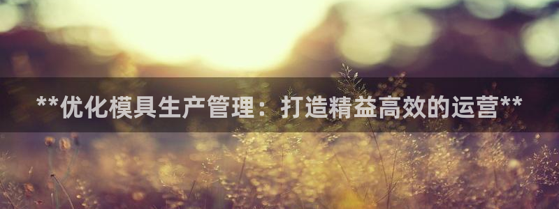 太阳成集团tyc234cc：**优化模具生产管理：打造精益高效的运营**