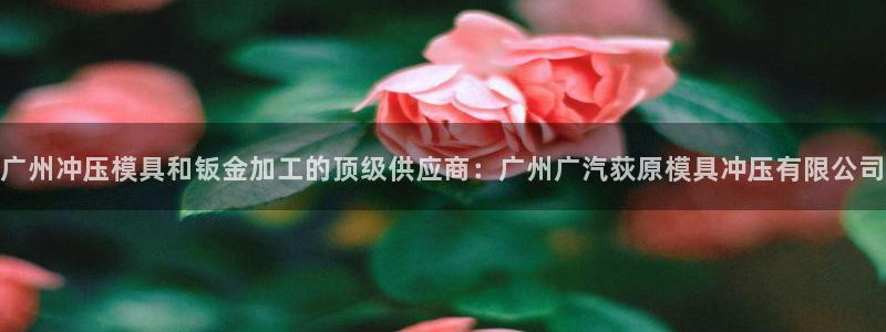 古天乐代言的太阳集团城网址：广州冲压模具和钣金加工的顶级供应商：广州广汽荻原模具冲压有限公司