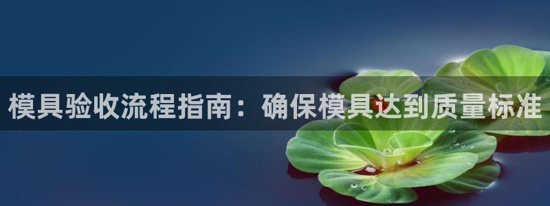 太阳成集团tyc33455cc官网：模具验收流程指南：确保模具达到质量标准