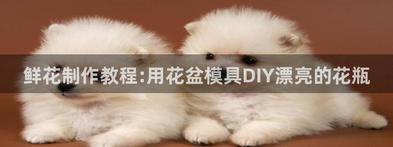 太阳gg登录首页：鲜花制作教程:用花盆模具DIY漂亮的花瓶