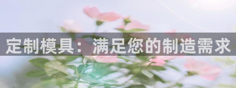 太阳 官网：定制模具：满足您的制造需求