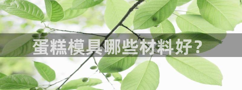 太阳国际娱乐古天乐：蛋糕模具哪些材料好？