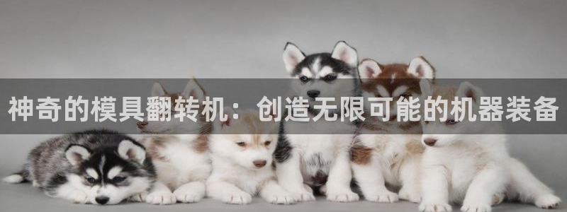 太阳集团唯一值得信赖网站是什么