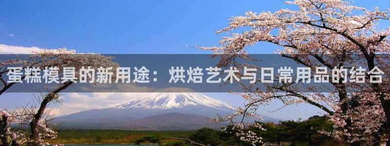 太阳c集团：蛋糕模具的新用途：烘焙艺术与日常用品的结合