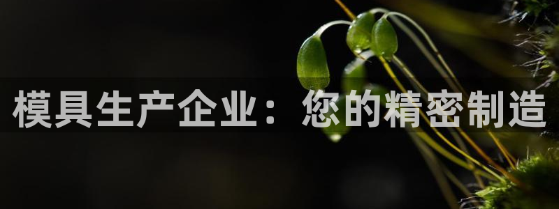 太阳集团tcy8722查封了：模具生产企业：您的精密制造