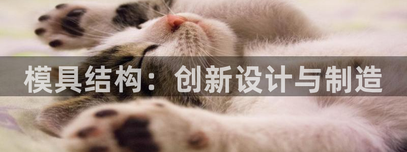 太阳集团古天乐：模具结构：创新设计与制造