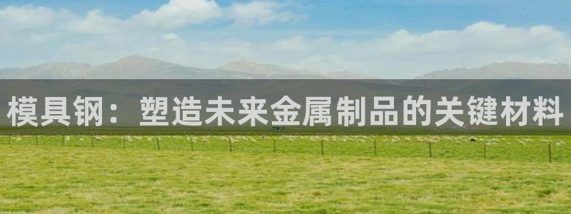 太阳集团城官网1407：模具钢：塑造未来金属制品的关键材料