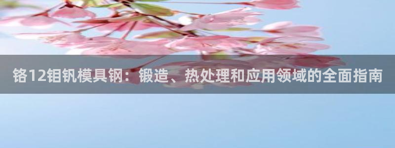 太阳集团78566备用网址：铬12钼钒模具钢：锻造、热处理和应用领域的全面指南