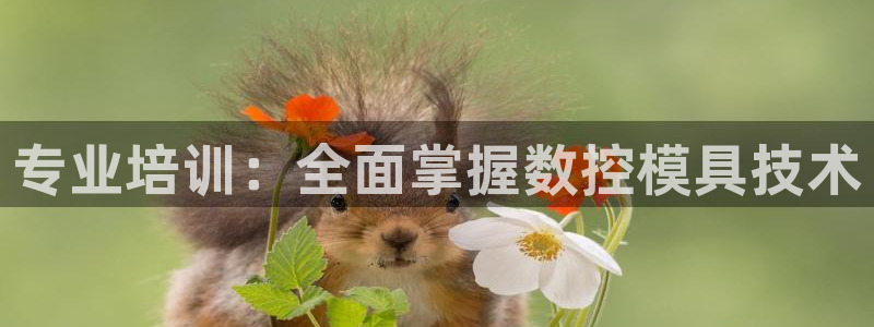太阳集团城网2018：专业培训：全面掌握数控模具技术