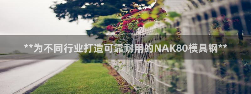 太阳gg注册地址：**为不同行业打造可靠耐用的NAK80模具钢**