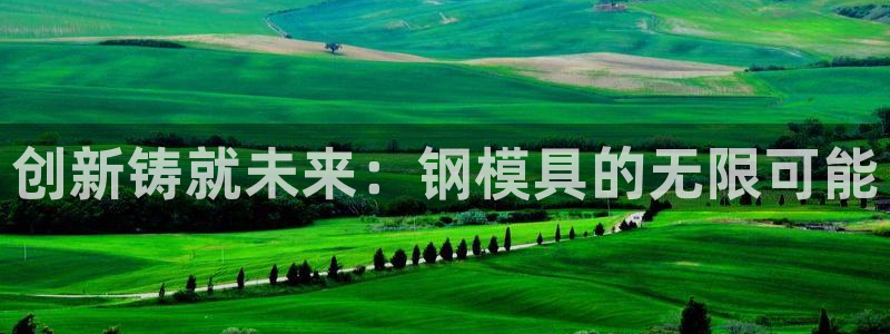 2138cn太阳集团古天乐·首页(欢迎您)：创新铸就未来：钢模具的无限可能