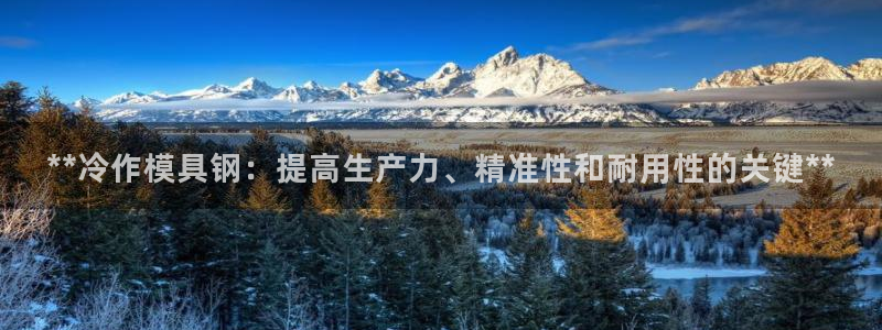 古天乐太阳网城：**冷作模具钢：提高生产力、精准性和耐用性的关键**