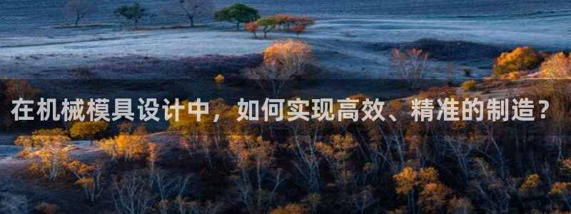 太阳appvip：在机械模具设计中，如何实现高效、精准的制造？