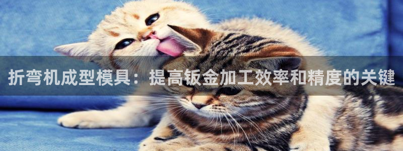 太阳app下载网址进入：折弯机成型模具：提高钣金加工效率和精度的关键