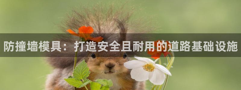 太阳gg注册登录：防撞墙模具：打造安全且耐用的道路基础设施