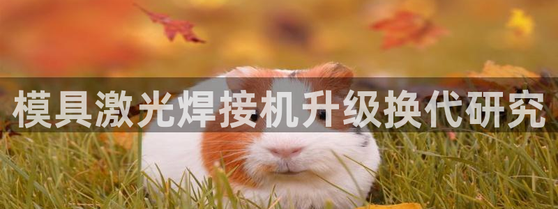 太阳gg登录首页：模具激光焊接机升级换代研究