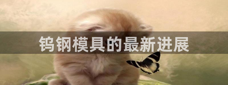 曲靖红太阳集团：钨钢模具的最新进展