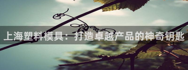 太阳集团城网址娱网：上海塑料模具：打造卓越产品的神奇钥匙