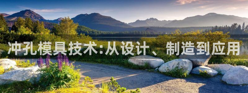 太阳集团游戏官网：冲孔模具技术:从设计、制造到应用