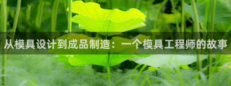 太阳成集团tyc122ccvlp：从模具设计到成品制造：一个模具工程师的故事