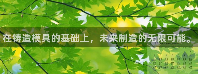 太阳集团的法人代表