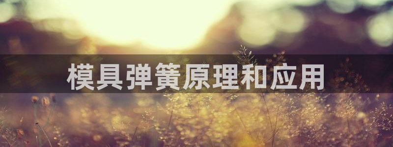 太阳成集团是什么