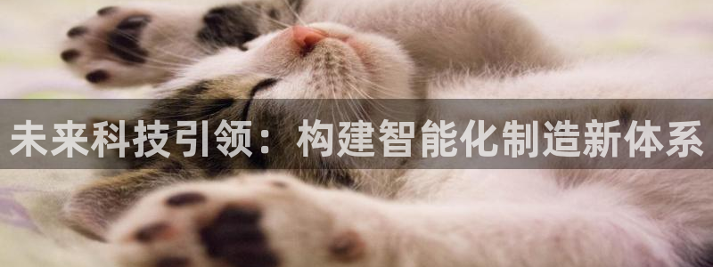 太阳诚集团有限公司有多少人：未来科技引领：构建智能化制造新体系