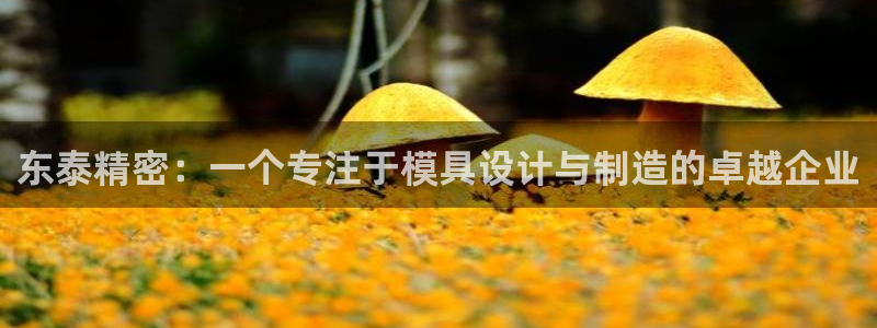 太阳集团app十佳平台有哪些