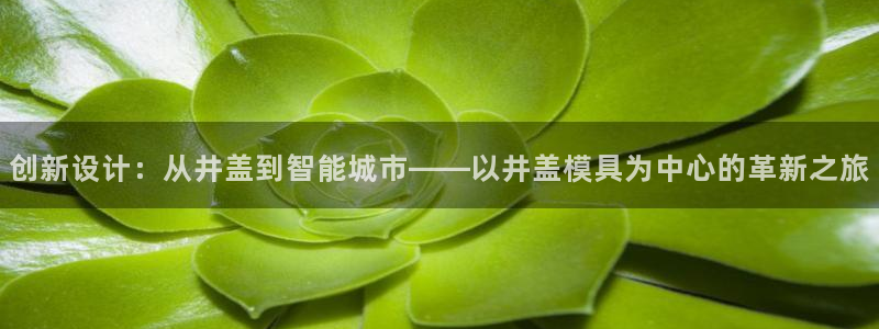 太阳成集团网站6888：创新设计：从井盖到智能城市——以井盖