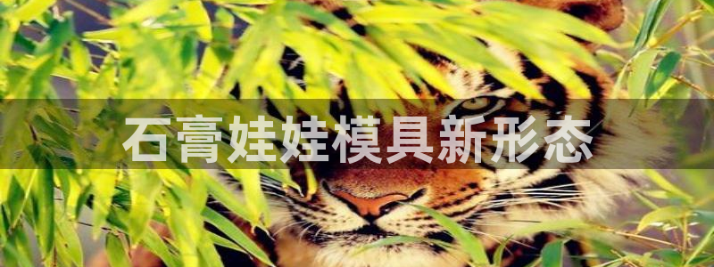 太阳集团城网2018：石膏娃娃模具新形态