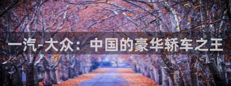 太阳成集团游戏是正规平台嚒：一汽-大众：中国的豪华轿车之王