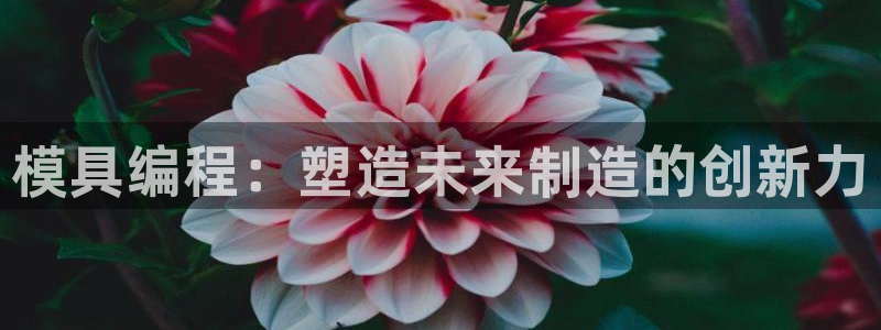 太阳集团是什么集团：模具编程：塑造未来制造的创新力