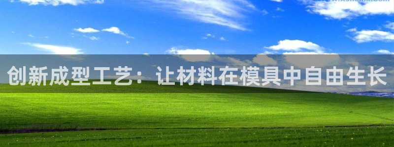 太阳集团娱乐全部网址视频：创新成型工艺：让材料在模具中自由生长