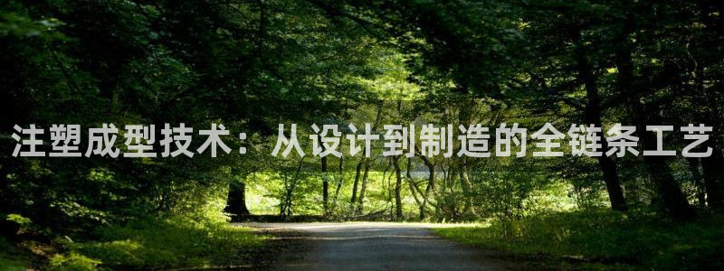 太阳游戏城：注塑成型技术：从设计到制造的全链条工艺