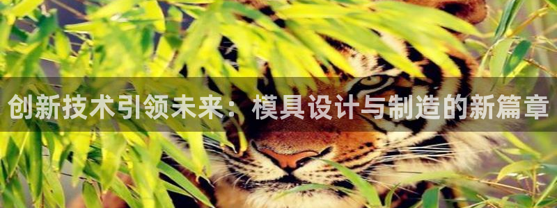 太阳集团电子游戏官方网站：创新技术引领未来：模具设计与制造的