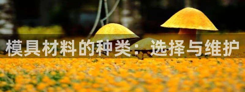 太阳成集团游戏是正规平台嚒：模具材料的种类：选择与维护