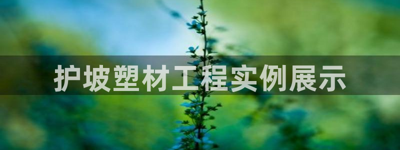 太阳集团娱乐全部网址视频：护坡塑材工程实例展示