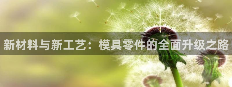 太阳集团的法人代表：新材料与新工艺：模具零件的全面升级之路