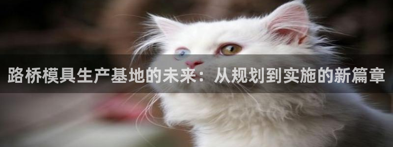 太阳appvip：路桥模具生产基地的未来：从规划到实施的新篇章
