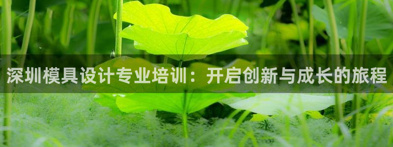 2018太阳集团游戏网站：深圳模具设计专业培训：开启创新与成长的旅程