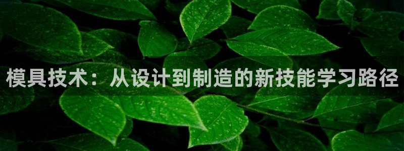太阳集团城网址娱网 - 太阳集团电子游戏：模具技术：从设计到制造的新技能学习路径