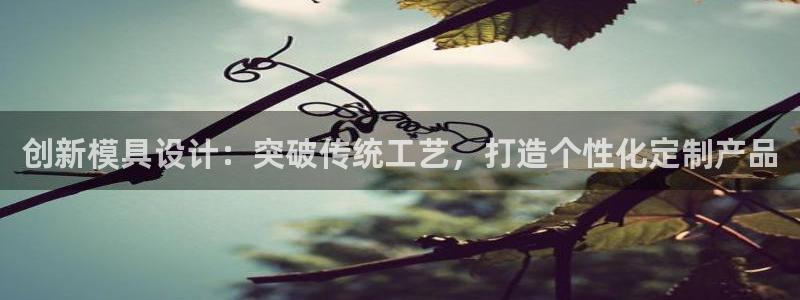 太阳成集团网址 app：创新模具设计：突破传统工艺，打造个性化定制产品
